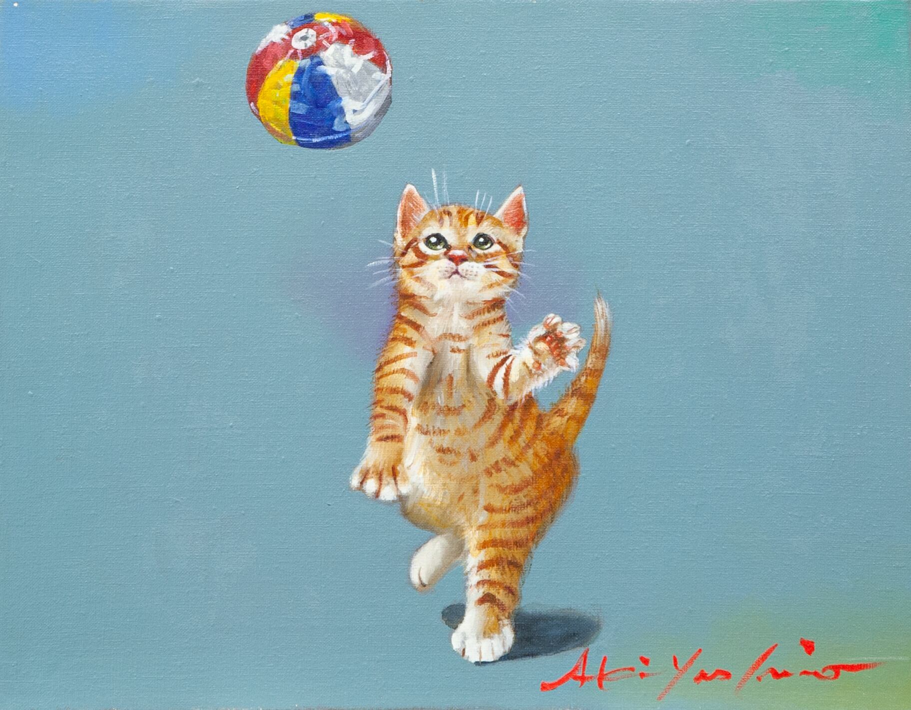 四季彩ねこ 夏の２